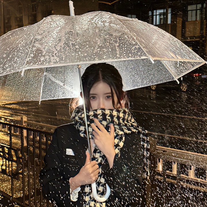 村之写真集