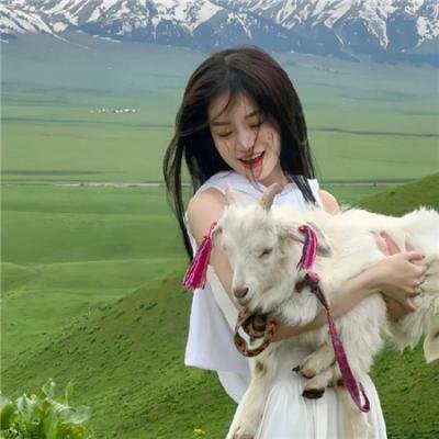 蓝宝坚尼的崛起